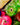 Skate Wheels & Accessories