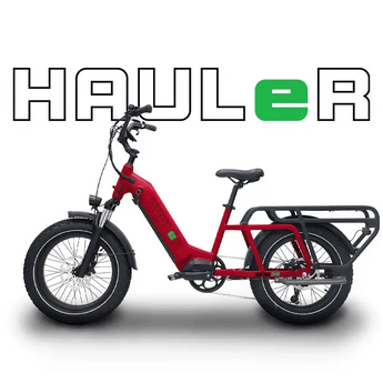 Benzina Zero HAULeR Electric Bike